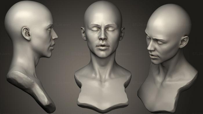 Anatomy of skeletons and skulls (Female Bust11, ANTM_0447) 3D models for cnc